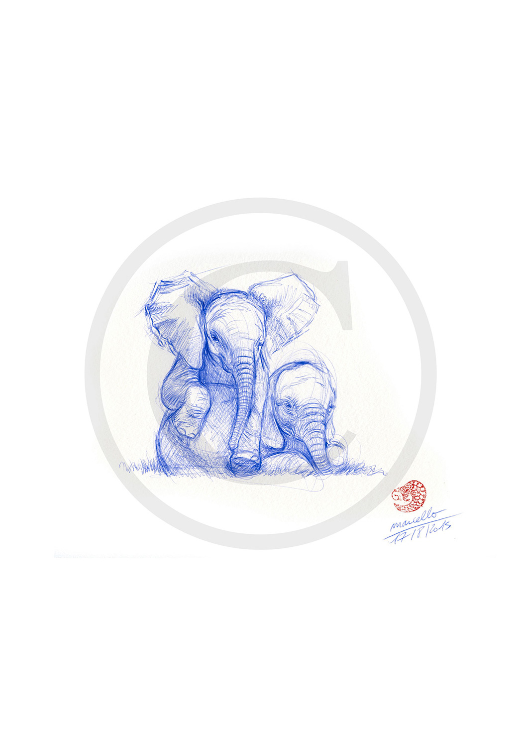 Marcello-art: Ballpoint pen drawing 315 - Baby elephant