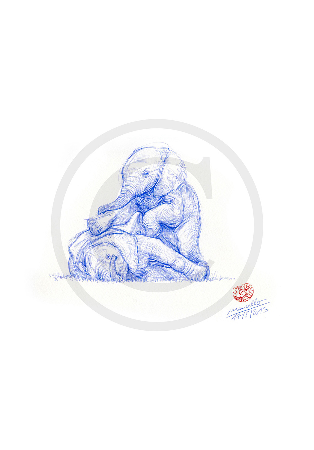 Marcello-art: Ballpoint pen drawing 316 - Baby elephant