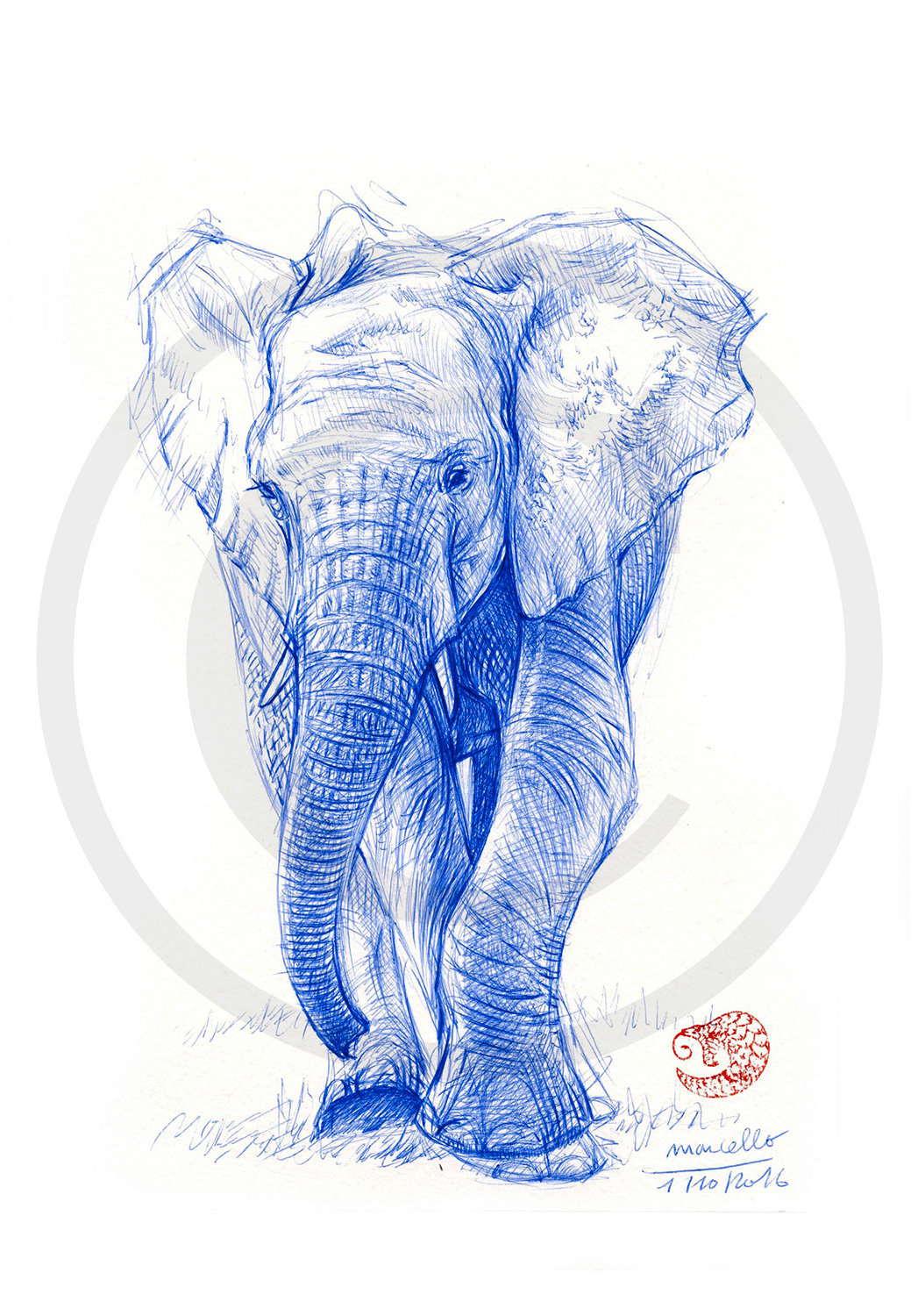 Marcello-art : Dessins au Bic 350 - Éléphanteau