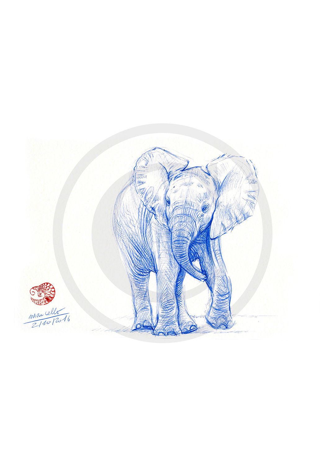 Marcello-art : Dessins au Bic 352 - Éléphanteau
