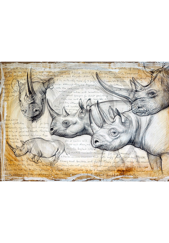 Marcello-art: Prints on canvas 176 - Rhino