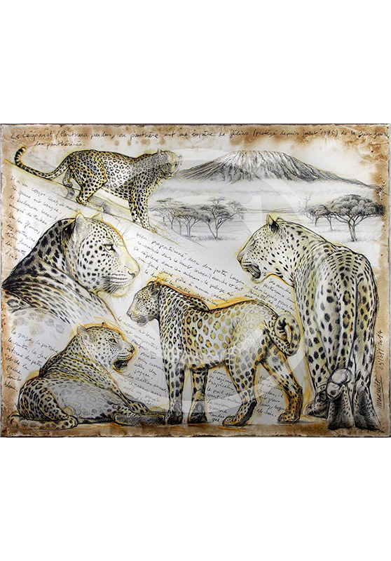 Marcello-art: Prints on canvas 252 - Leopard