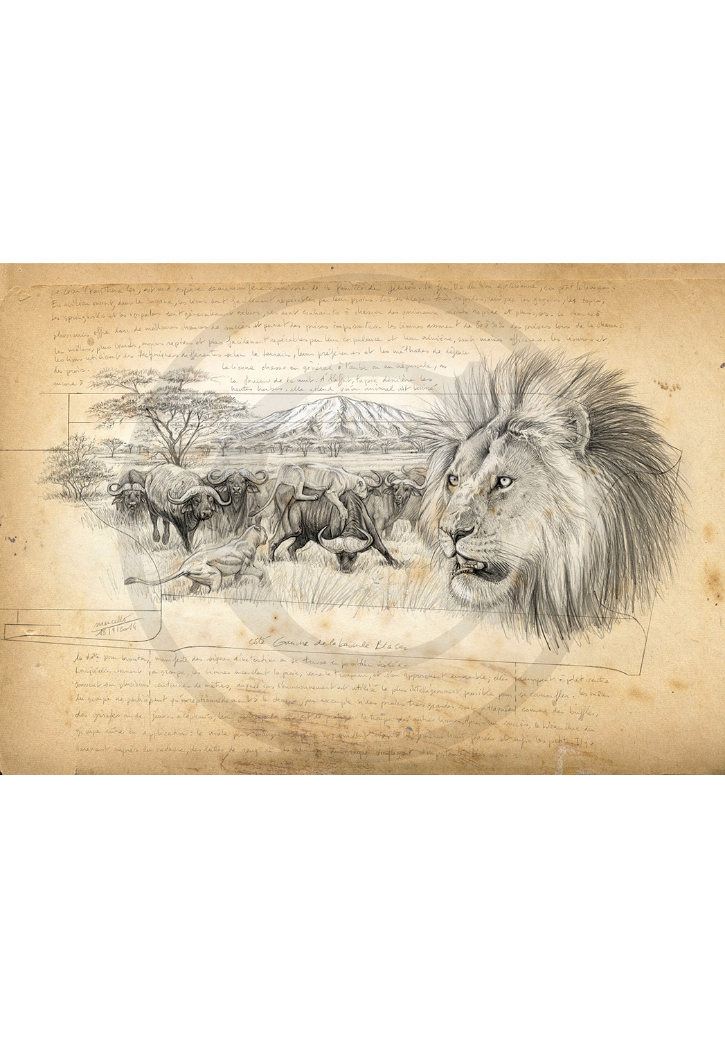 Marcello-art: Prints on canvas 275 - Lion Engraving gun