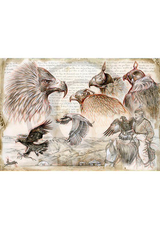 Marcello-art: Prints on canvas 256 - Altai Kazakh eagle hunter