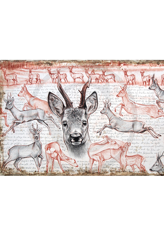 Marcello-art: Prints on canvas 280 - Roe deer
