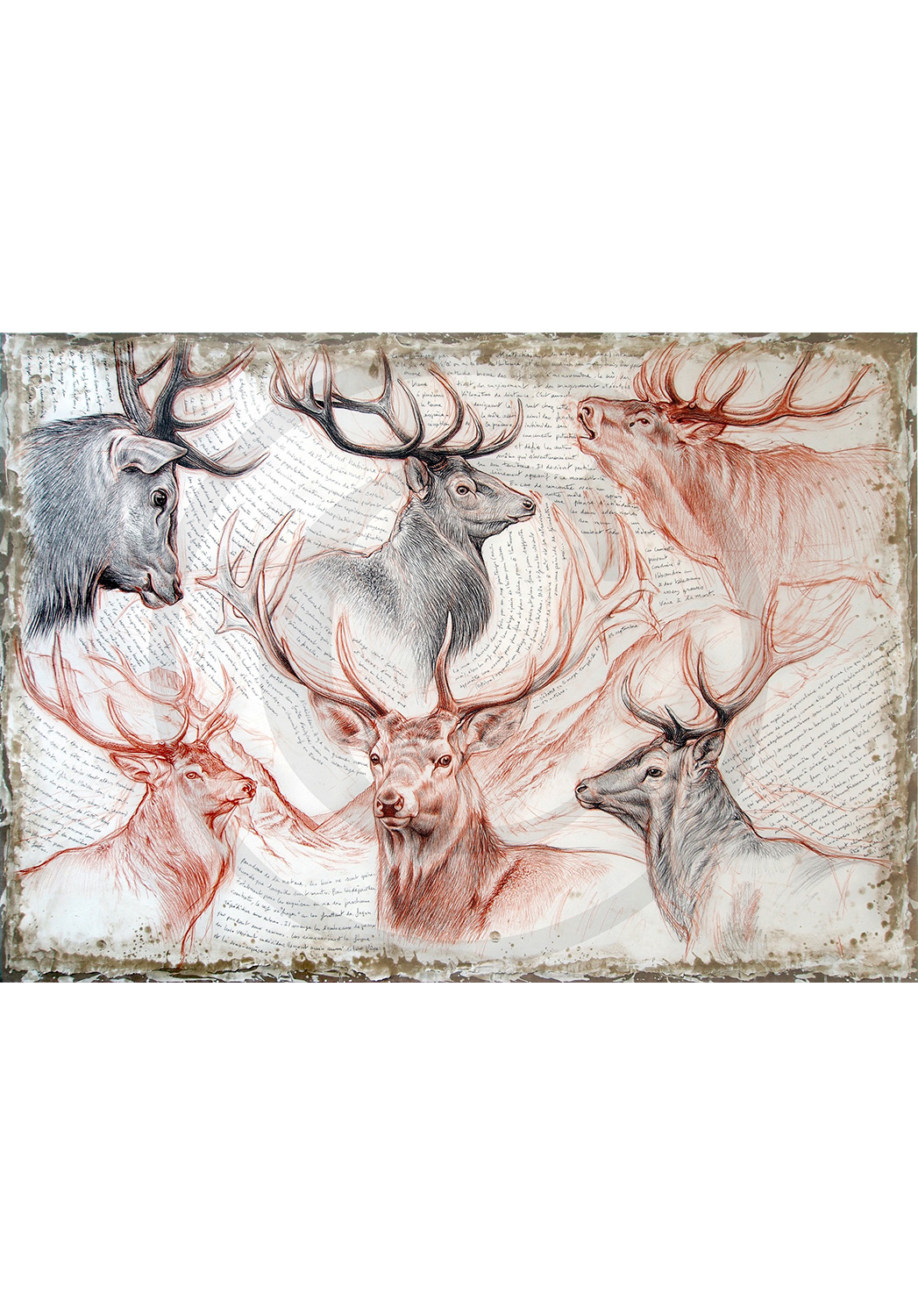 Marcello-art: Prints on canvas 278 - Red deer
