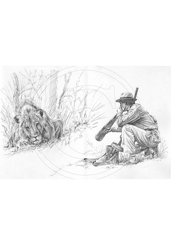 Marcello-art: African Wildlife 33 - Call of the lion