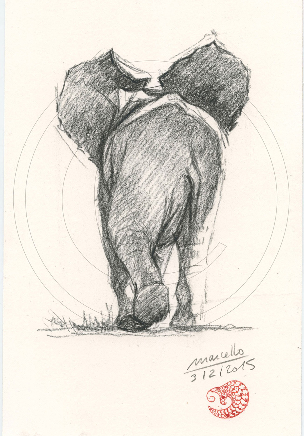 Marcello-art: African Wildlife 289 - Baby elephant back
