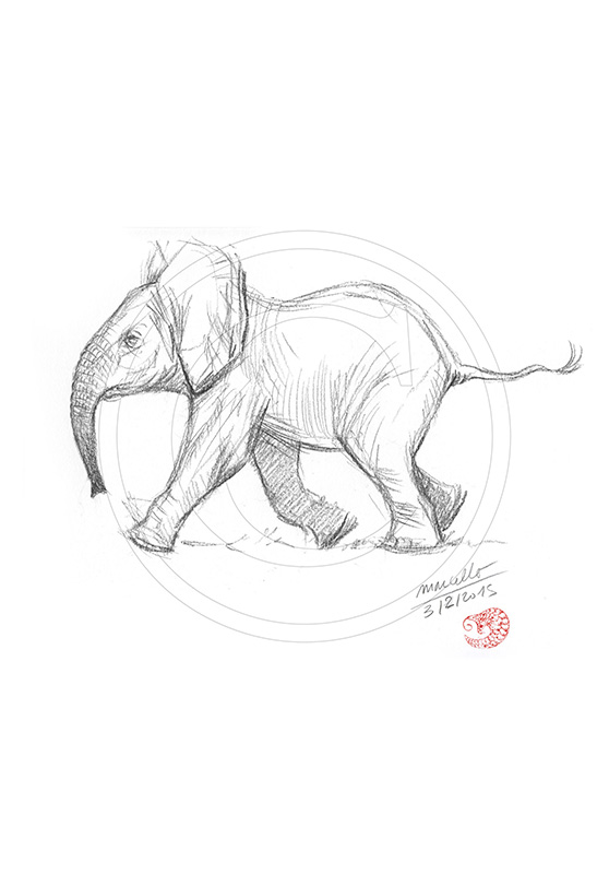 Marcello-art : Faune Africaine 291 - Éléphanteau premiers pas