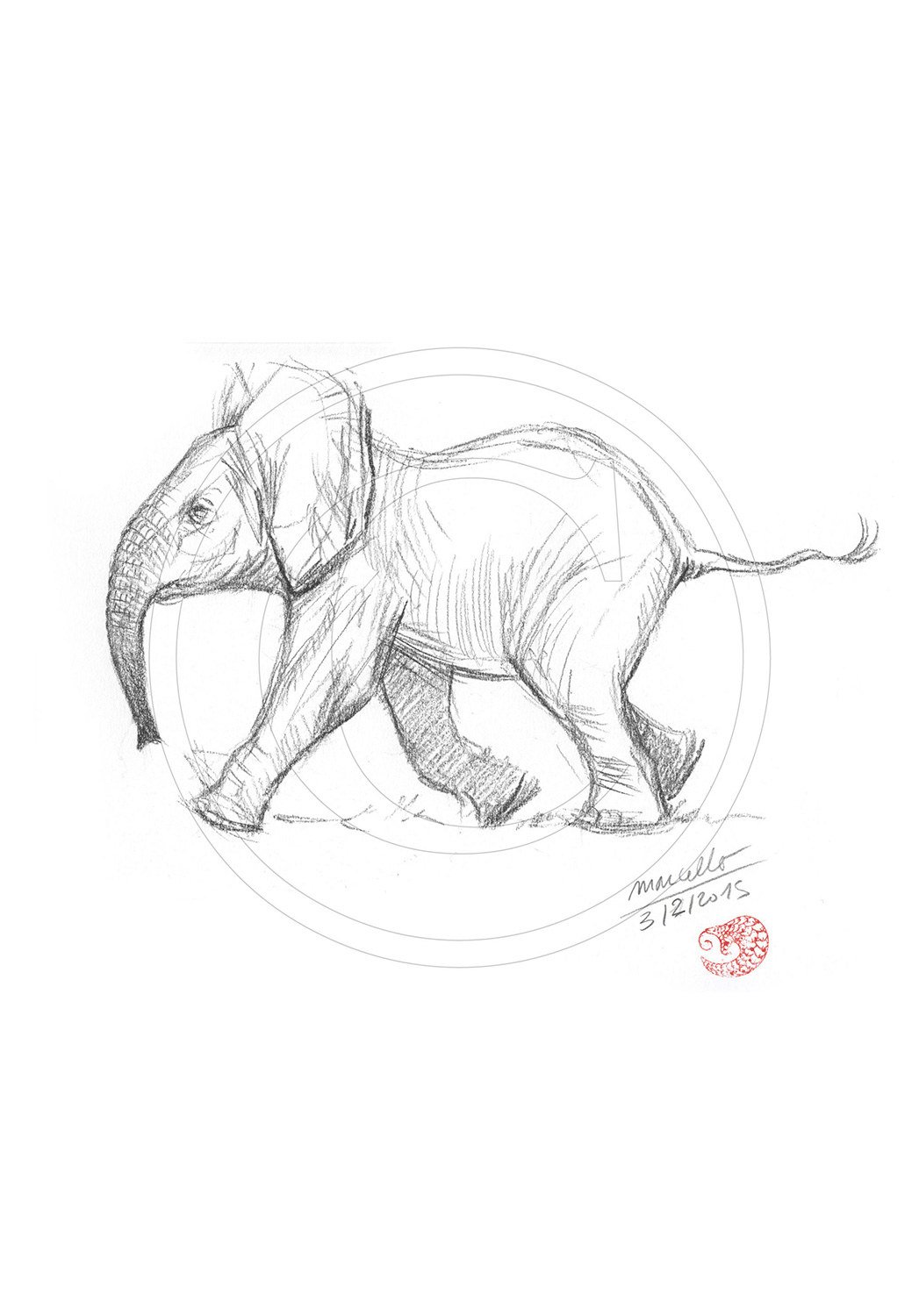 Marcello-art: African Wildlife 291 - Baby elephant first steps
