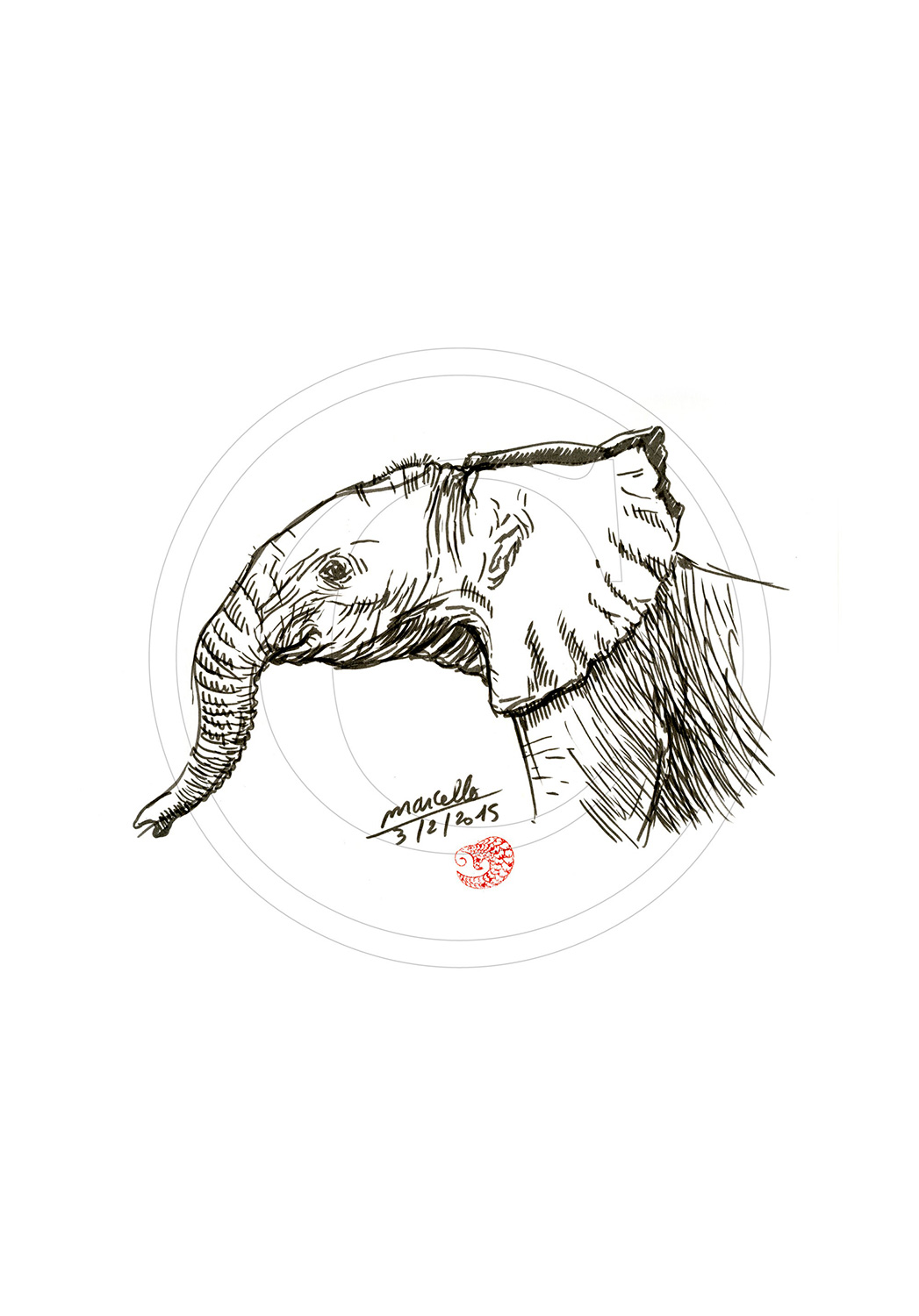 Marcello-art : Faune Africaine 294 - Éléphanteau
