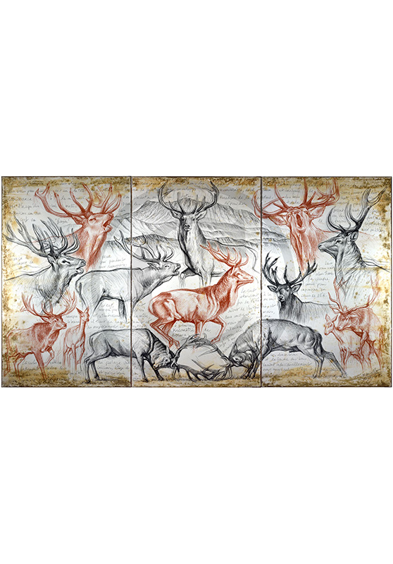 Marcello-art: Fauna temperate zone 295 - Triptyque Red Deer