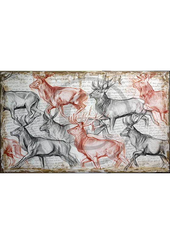 Marcello-art: Fauna temperate zone 297 - The last herd