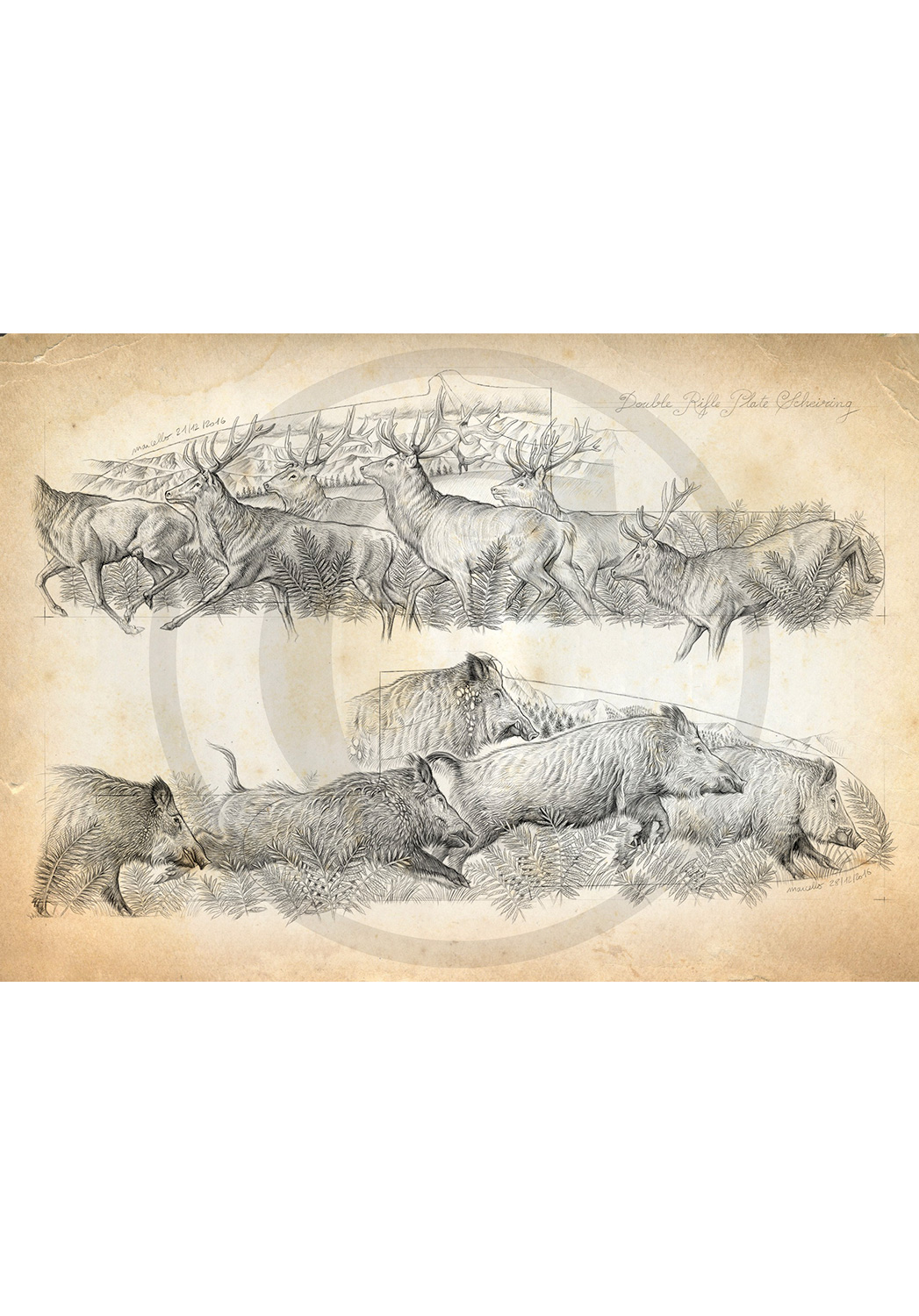 Marcello-art: Fauna temperate zone 359 - Herd of deer and boars Engraving gun