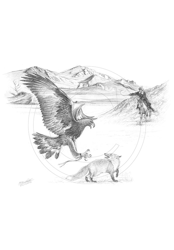 Marcello-art: Wild temperate zones 205 - Sayat - Hunting eagle