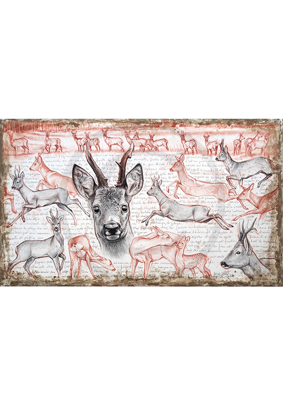 Marcello-art: Originals on canvas 280 - Roe deer