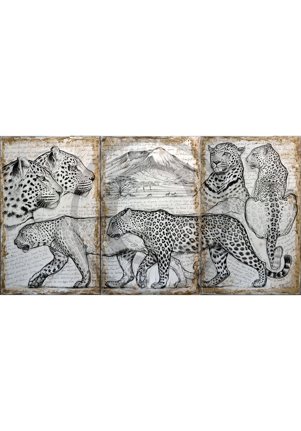 Marcello-art : Originaux sur toile 296 - Triptyque léopards kitumbeine