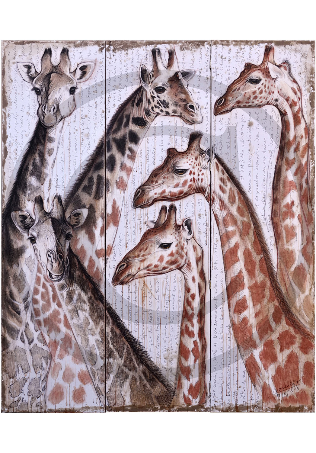Marcello-art : Originaux sur toile 300 - Girafes