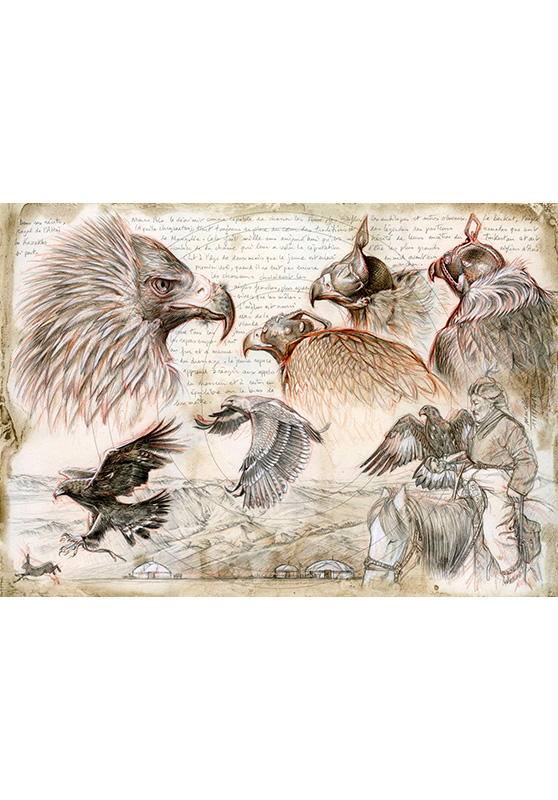 Marcello-art: Ornithology 256 - Altai Kazakh eagle hunter