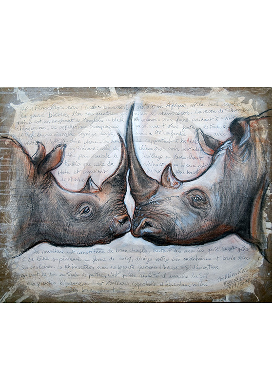 Marcello-art : Originaux sur toile 106 - Rhino kiss