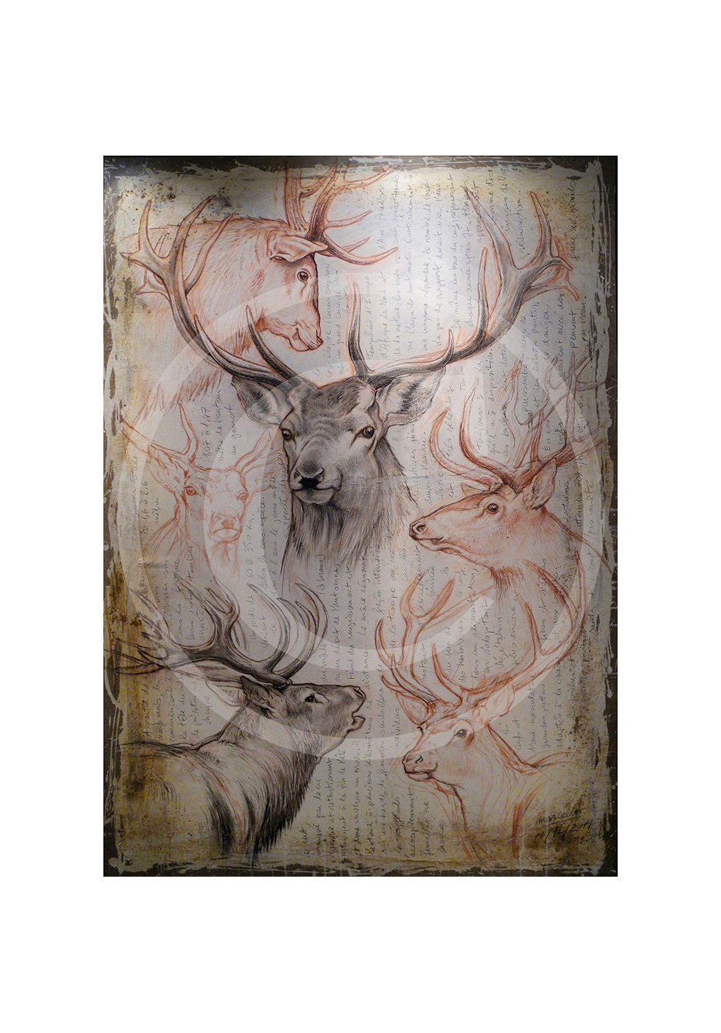 Marcello-art: Originals on canvas 107 - Red deer-03