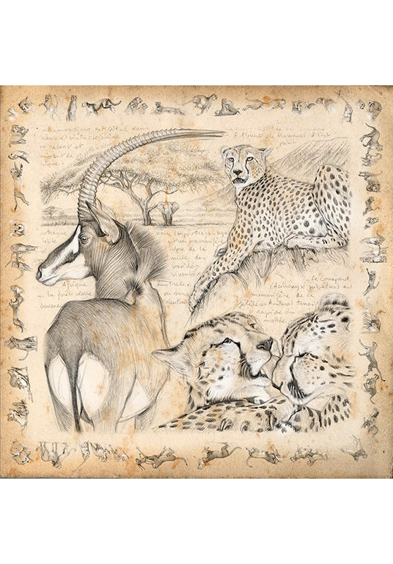 Marcello-art: Square Square scarve 363 Antilop Sable and Cheetah