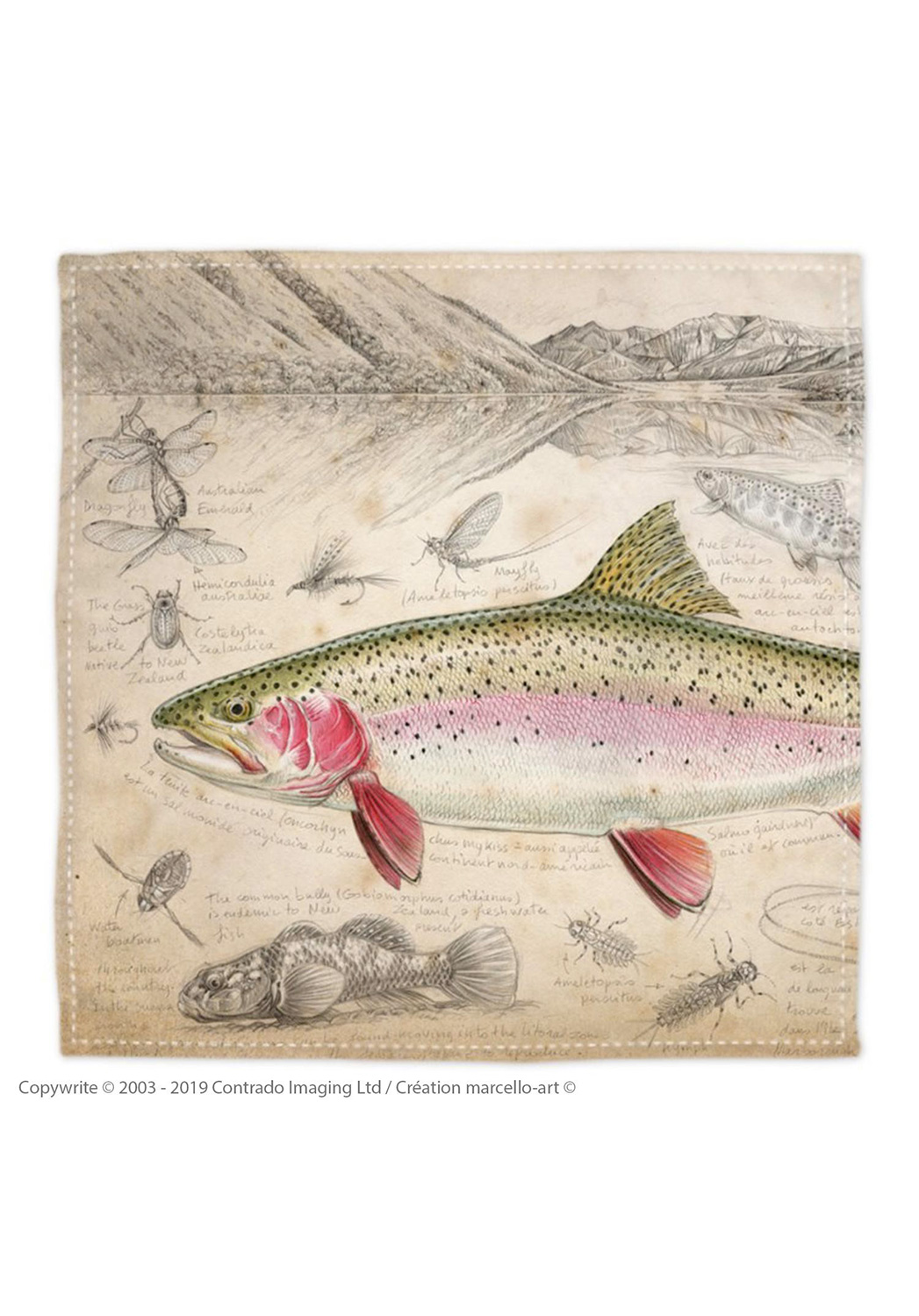 Marcello-art: Bandana Bandana 373 Rainbow trout