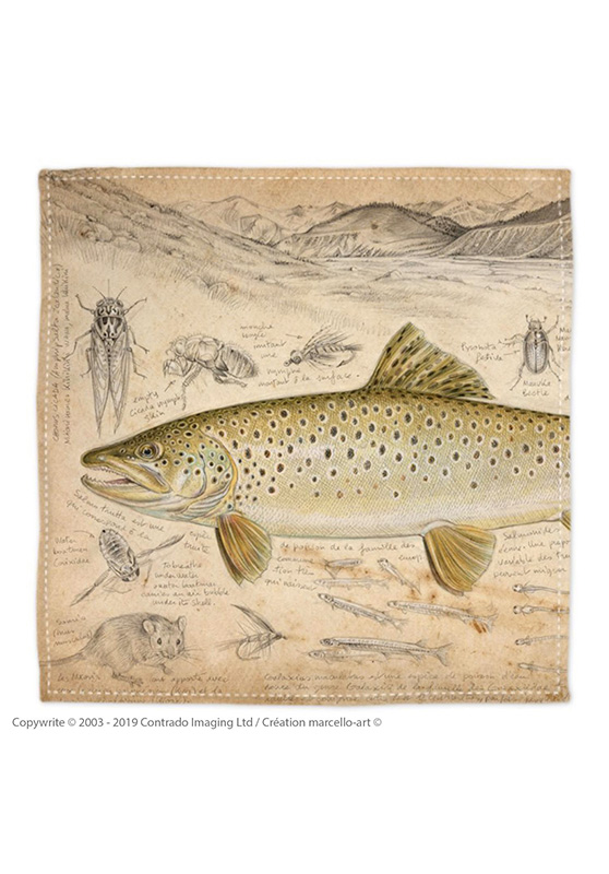 Marcello-art: Bandana Bandana 372 Brown trout