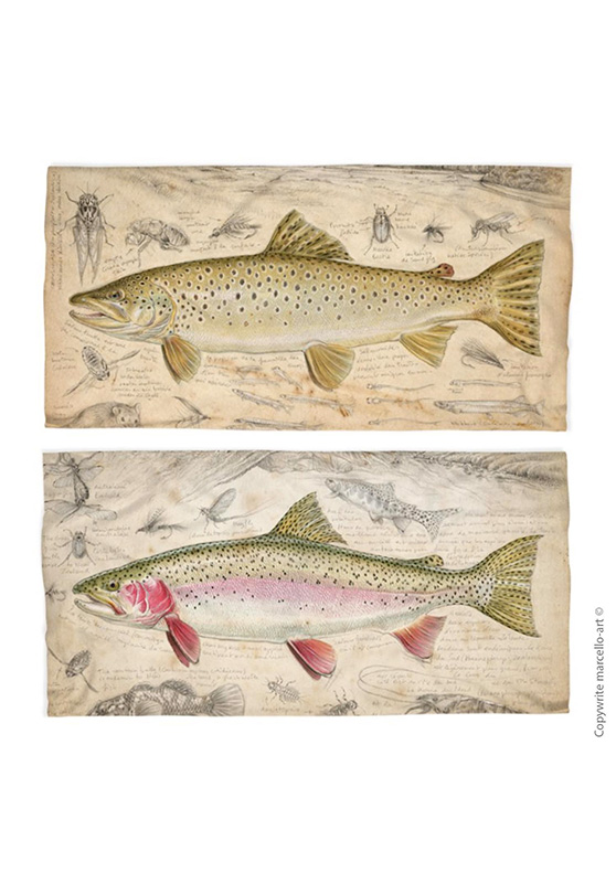 Marcello-art: Tube scarf Tube Scarf 372 - 373 Brown trout - Rainbow trout