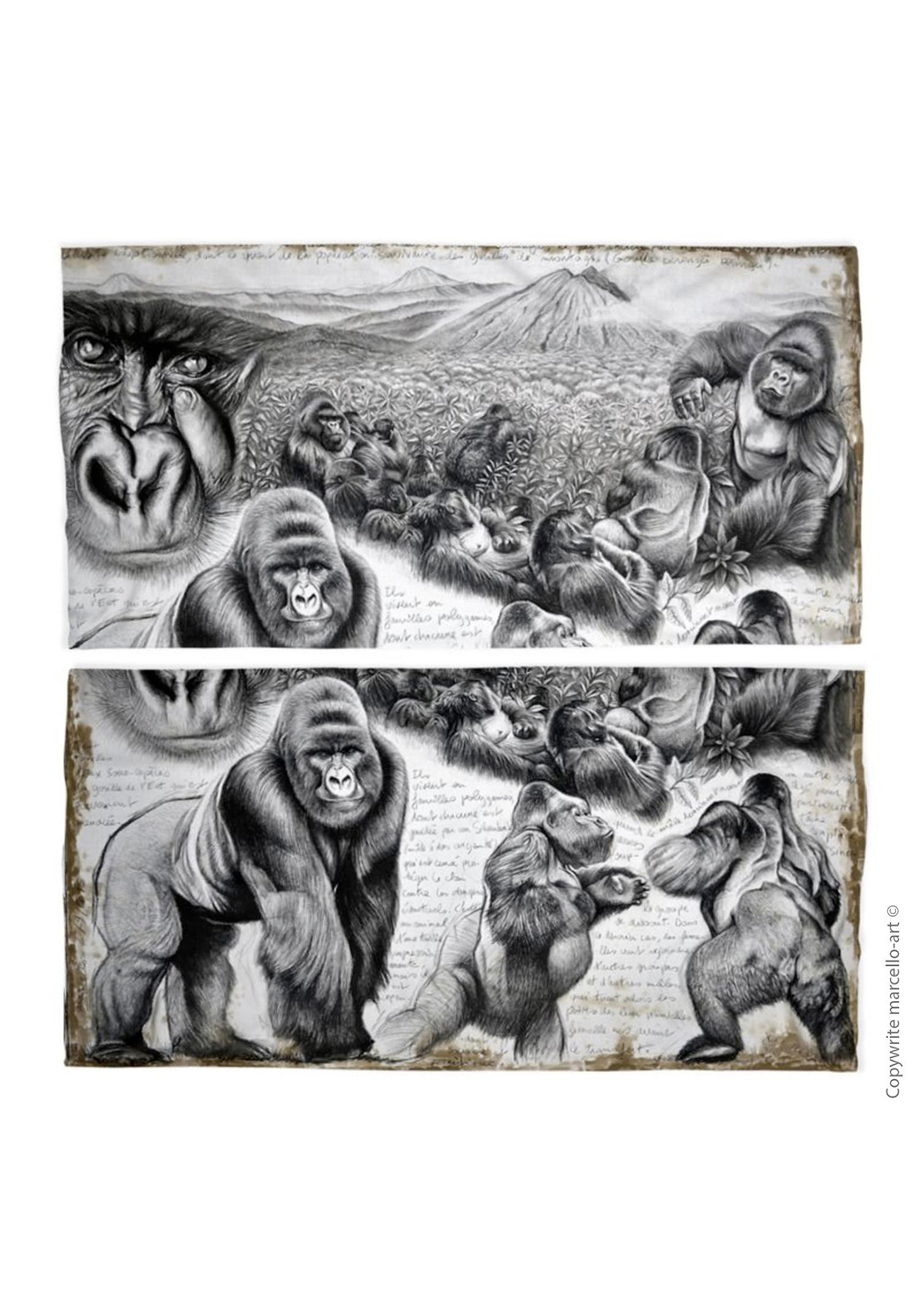 Marcello-art: Tube scarf Tube Scarf 301 Virunga gorilla