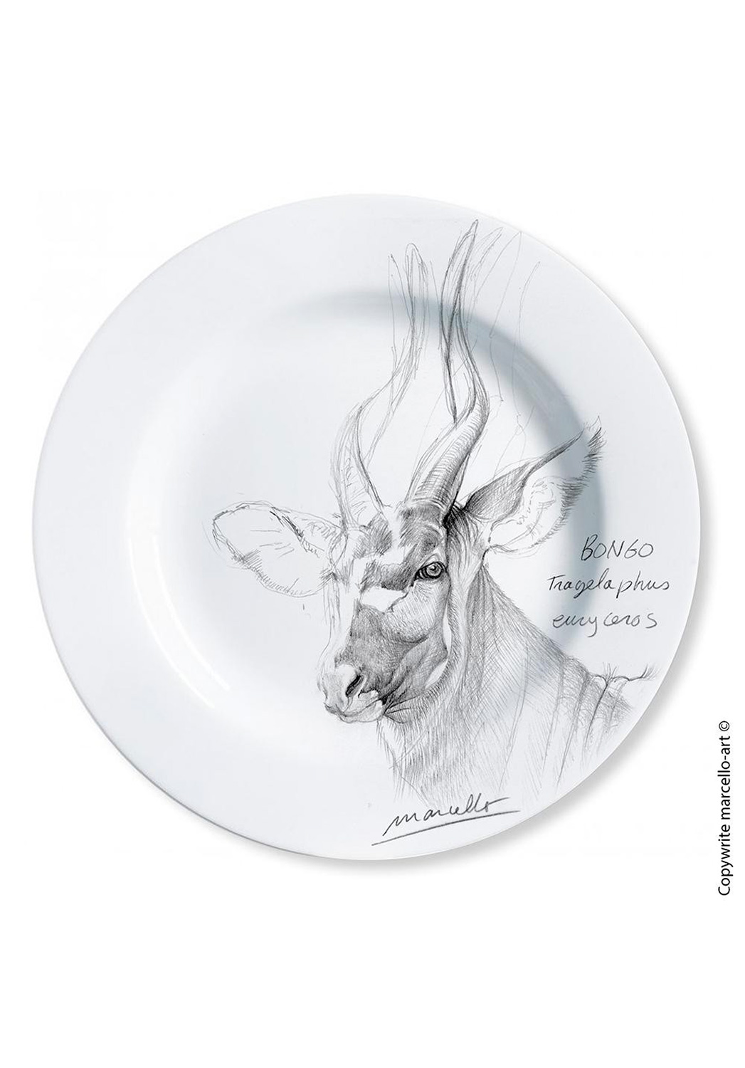 Marcello-art: Decorating Plates Decoration plates 3 Bongo - black
