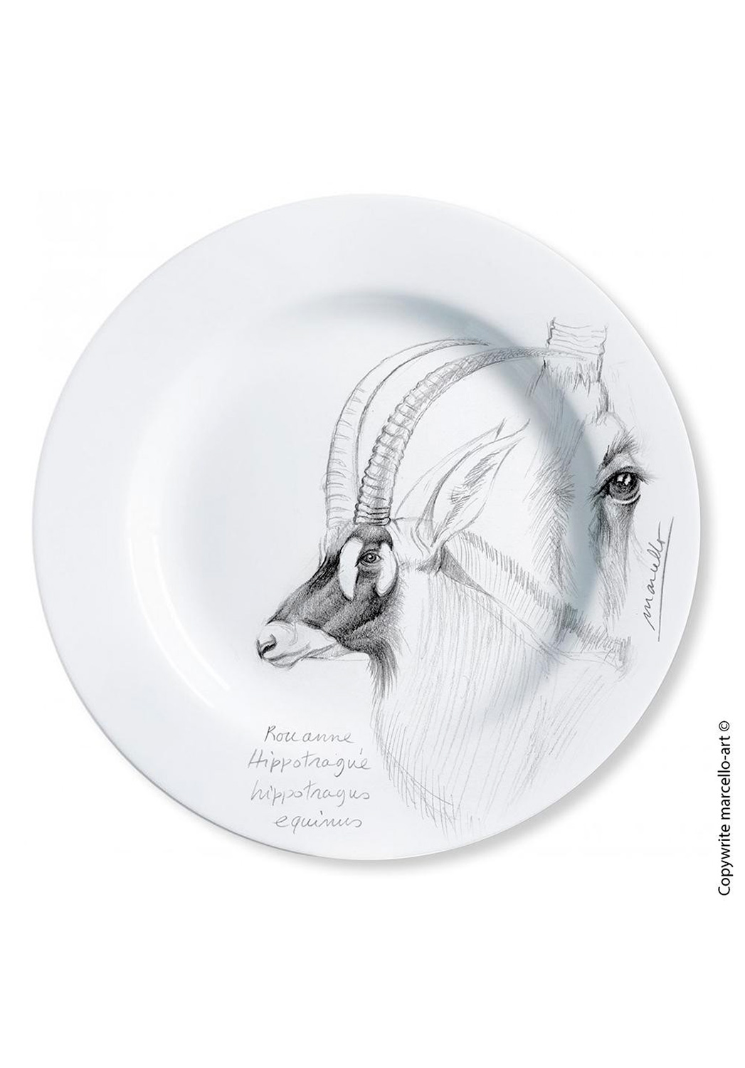 Marcello-art: Decorating Plates Decoration plates 8 Roan antelope