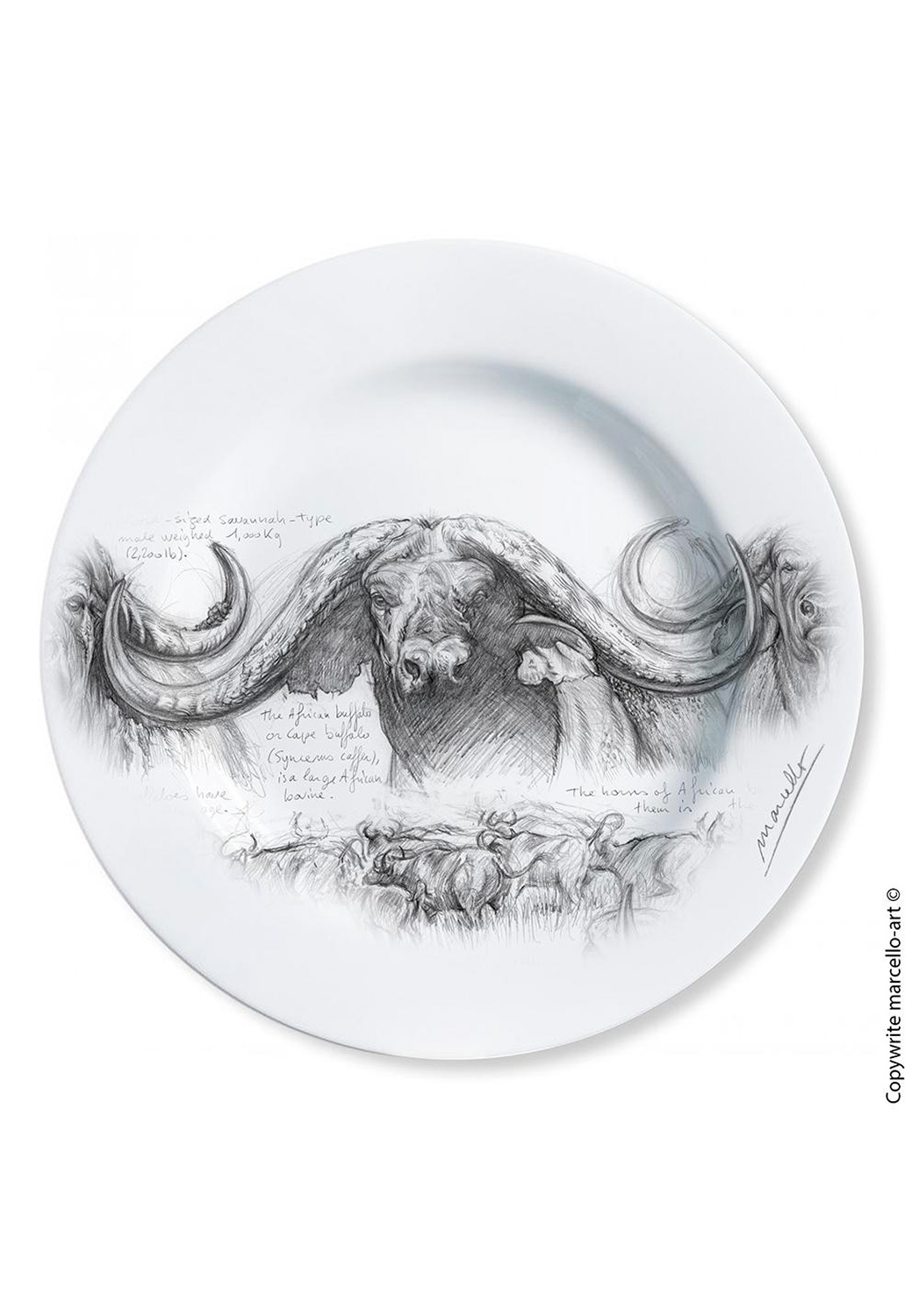 Marcello-art: Decorating Plates Decoration plates 194 Cap buffalo