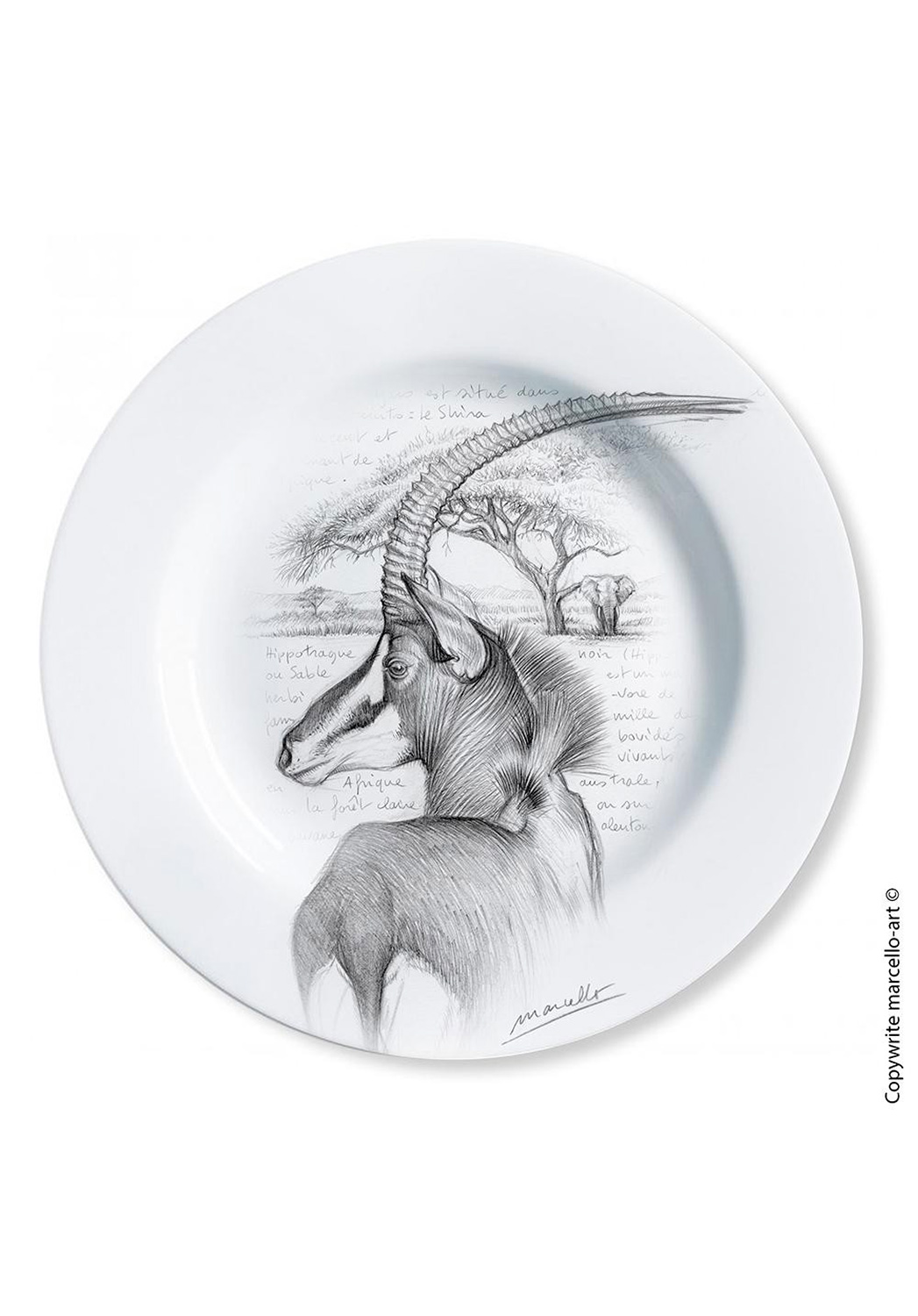 Marcello-art : Assiettes de décoration Assiette décorative 363 Guépards Antilope sable
