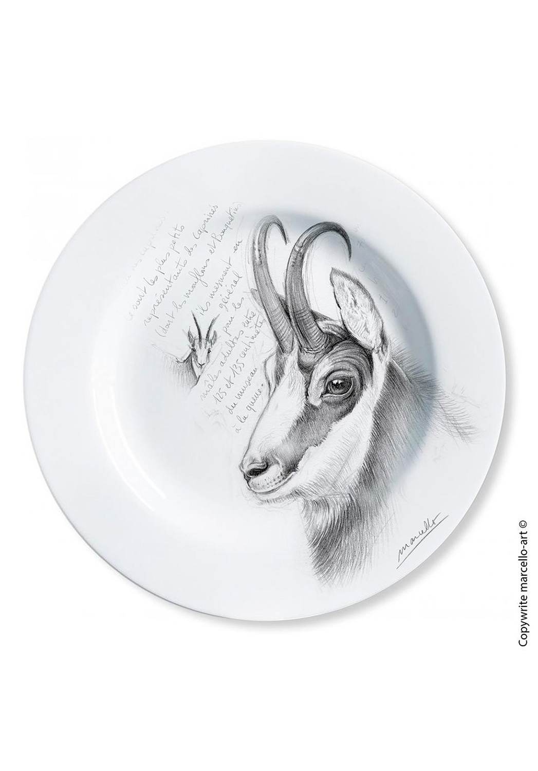 Marcello-art: Decorating Plates Decoration plates 53 Chamois