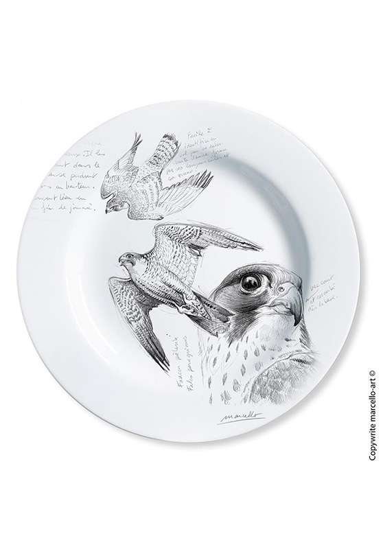Marcello-art : Assiettes de décoration Assiette décorative 13 Faucon pélerin