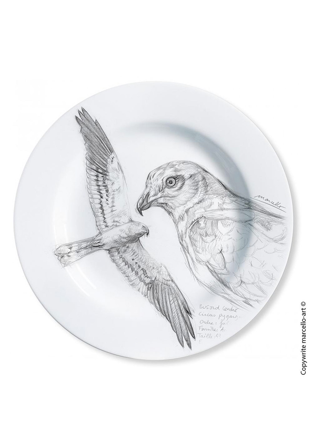 Marcello-art: Decorating Plates Decoration plates 14 Circus pygargus