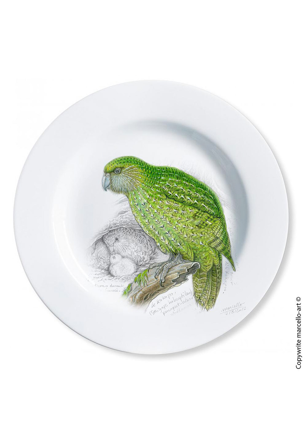 Marcello-art: Decorating Plates Decoration plates 192 Strigops kakapo