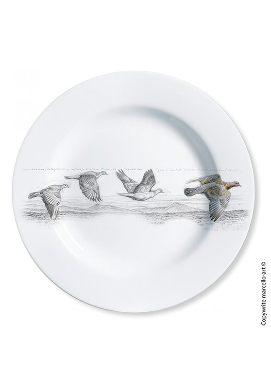Marcello-art: Decorating Plates Decoration plates 233 Picazuro Pigeon