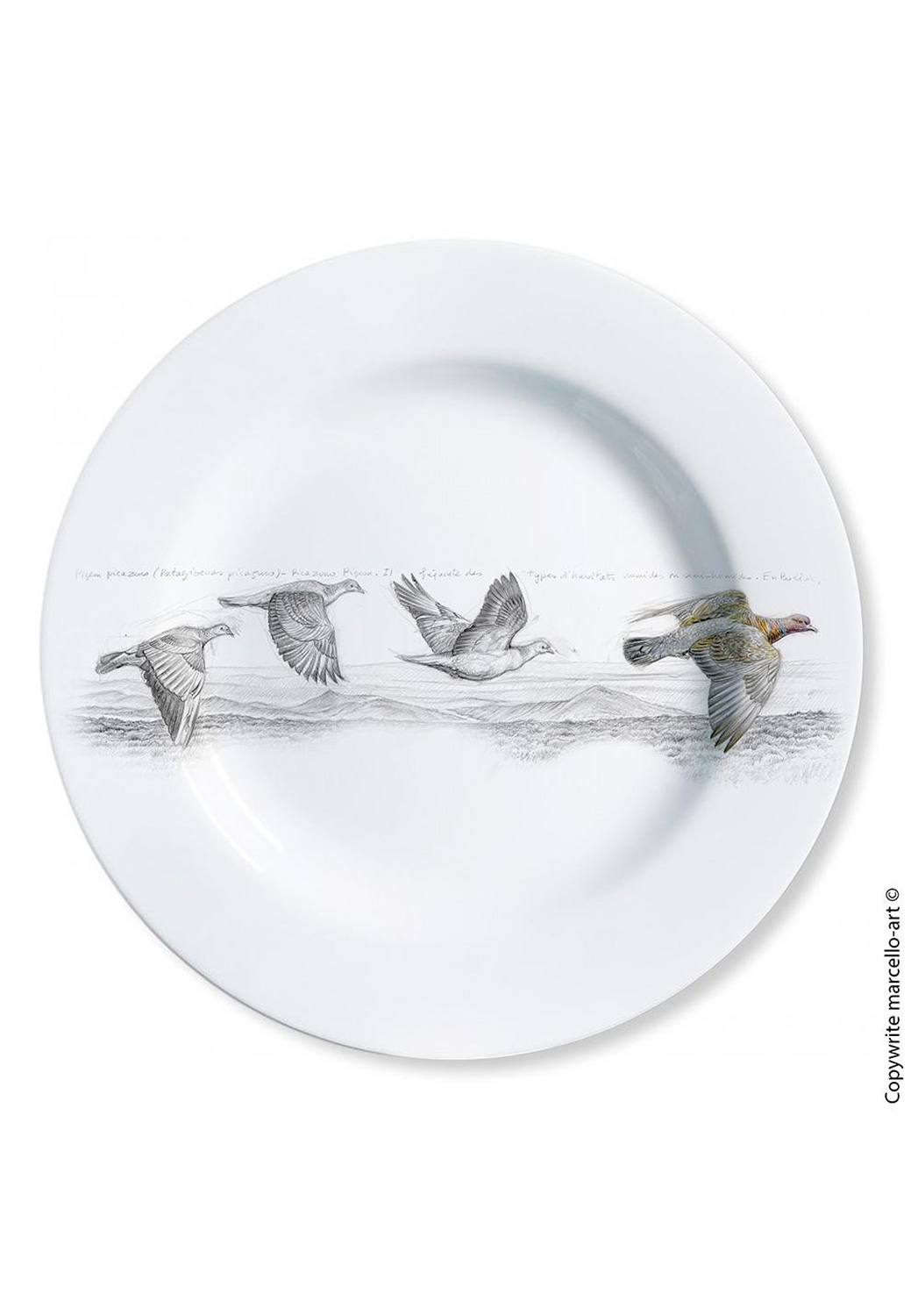 Marcello-art : Assiettes de décoration Assiette décorative 233 Pigeon picazuro