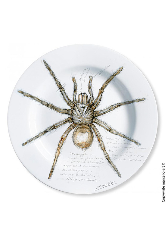 Marcello-art: Decorating Plates Decoration plates 82 Arachnids
