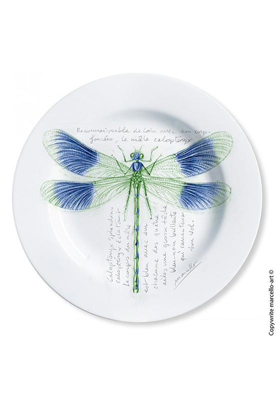 Marcello-art: Decorating Plates Decoration plates 255 Calopteryx slendens