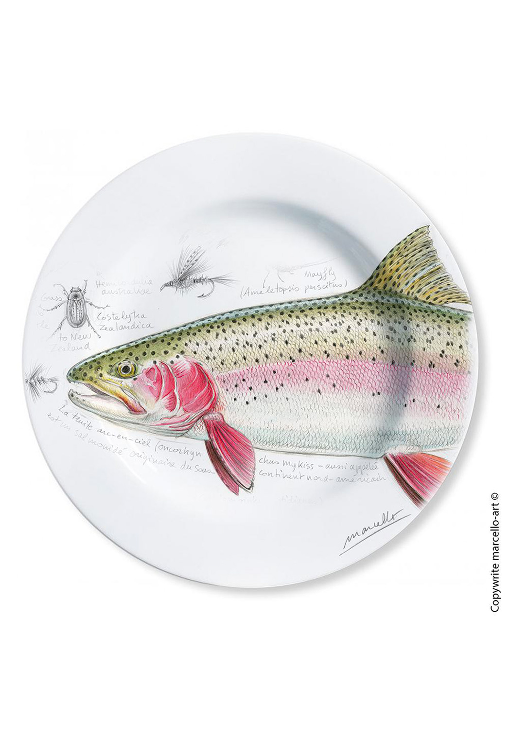 Marcello-art: Decorating Plates Decoration plates 373 head to tail rainbow trout