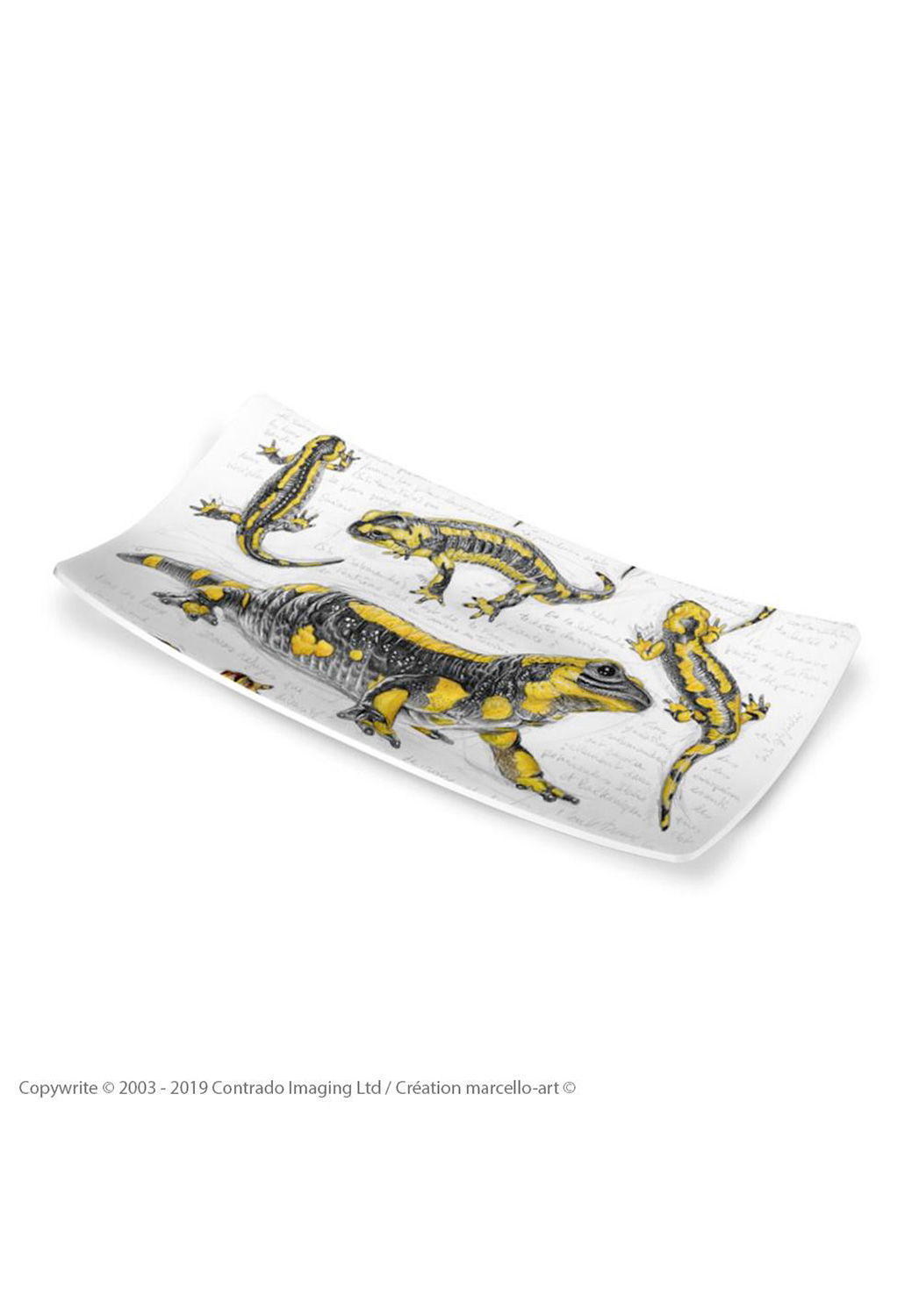 Marcello-art: Rectangular plates Rectangular plate 383 Salamander