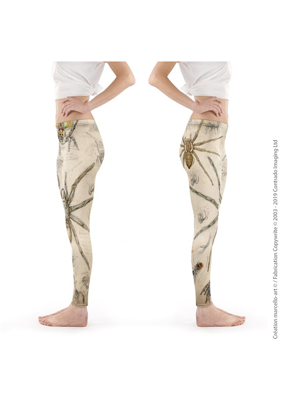 Marcello-art: Legging Legging 82 Arachna