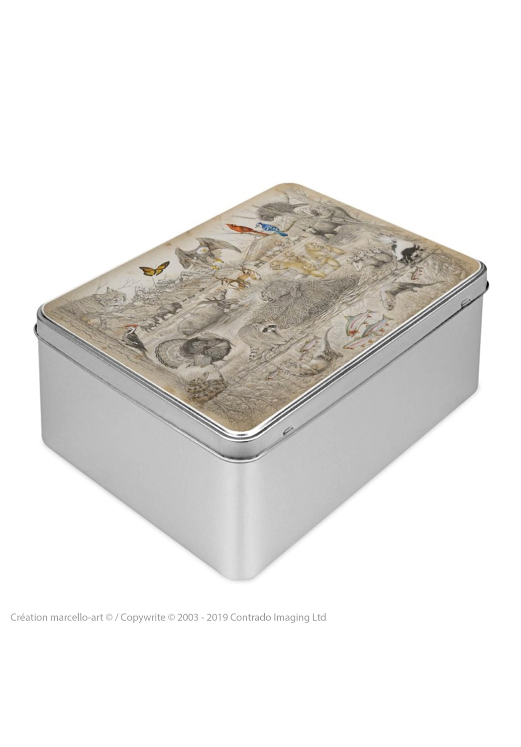 Marcello-art: Rectangular cookie box Rectangular cookie box 393 american fauna