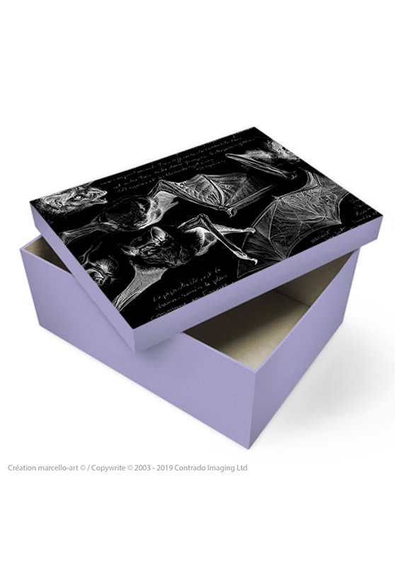 Marcello-art : Accessoires de décoration Boîte à souvenirs 31 pipistrelles noires