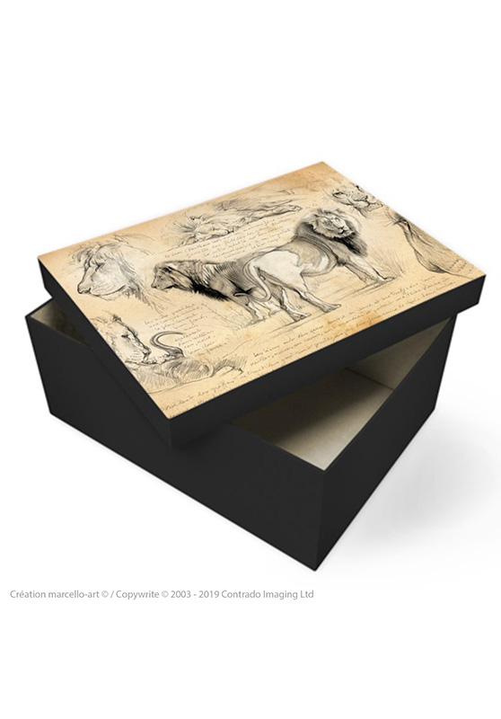 Marcello-art : Accessoires de décoration Boîte à souvenirs 54 frères lions