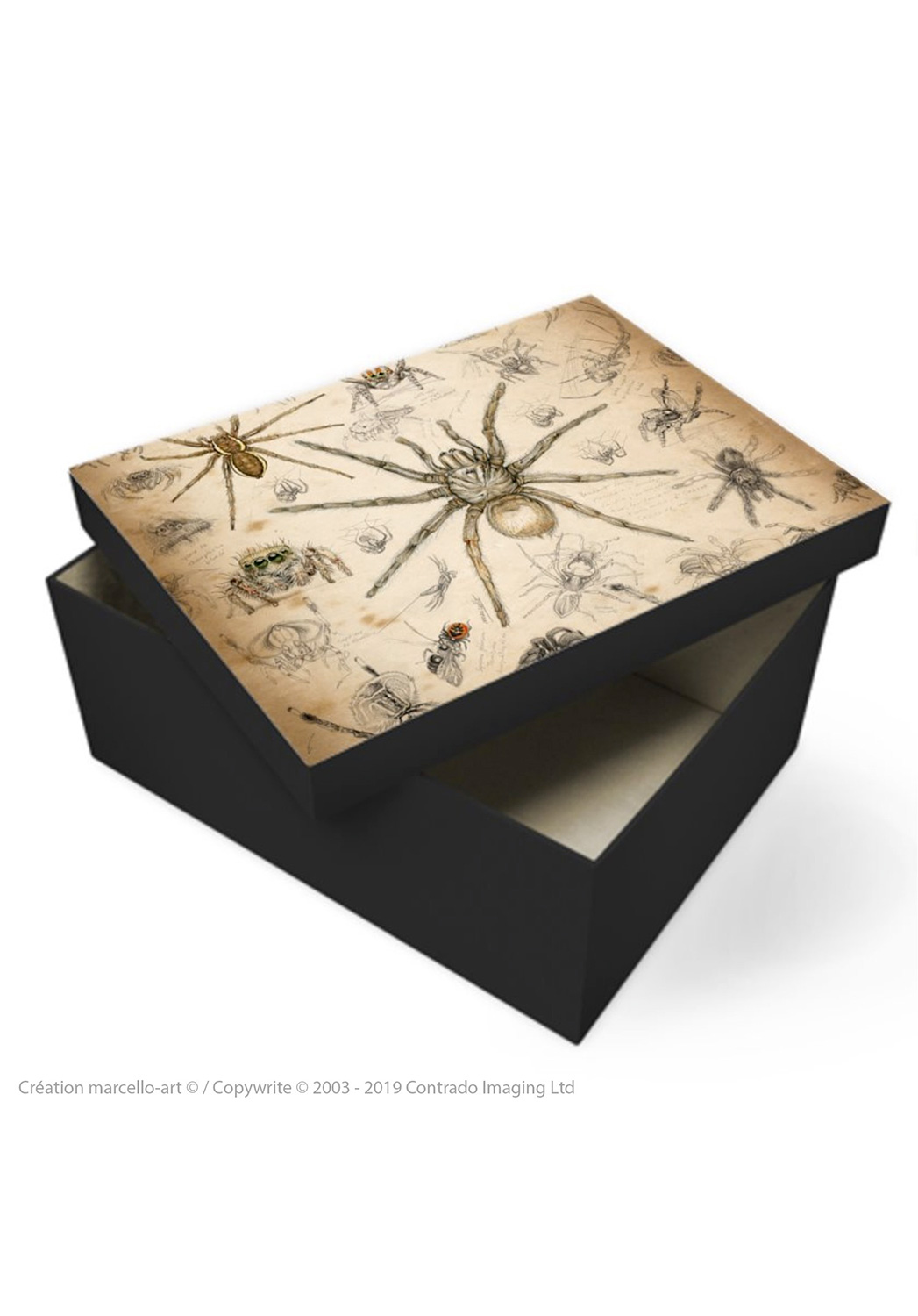 Marcello-art: Decoration accessoiries Souvenir box 82 Arachna