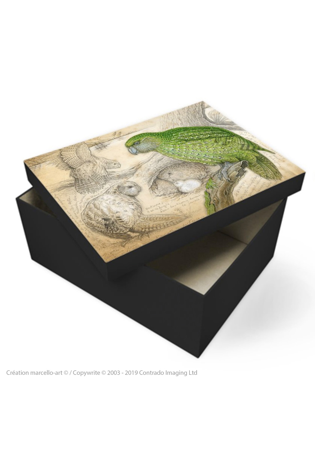 Marcello-art: Decoration accessoiries Souvenir box 192 kakapo